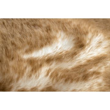 Dywan LAPIN Shaggy koło kość słoniowa / brązowy, antypoślizgowy, do prania