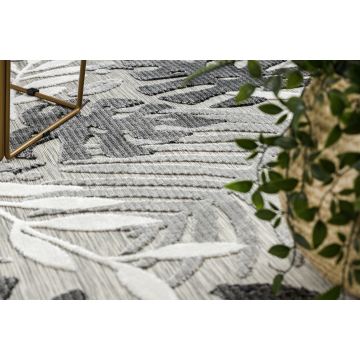 Dywan Strukturalny BOTANIC 65245 Liście Monstera płasko tkany, na balkon, taras - szary
