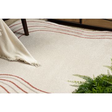 Dywan FUSION 5707 krem / terakota Shape - Abstrakcja, nowoczesny, abstrakcyjny, nieregularny