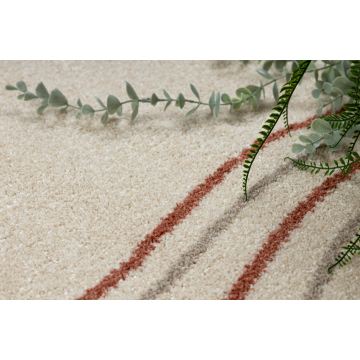 Dywan FUSION 5707 krem / terakota Shape - Abstrakcja, nowoczesny, abstrakcyjny, nieregularny