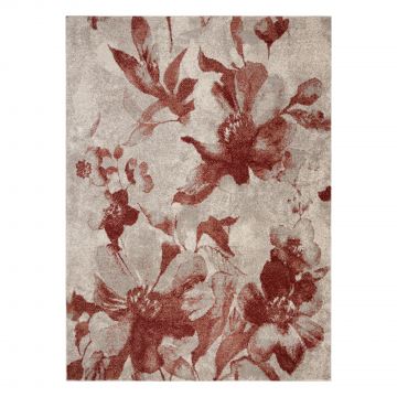 Dywan FUSION 8259 krem / bordo - Kwiaty, nowoczesny, abstrakcyjny