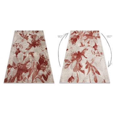 Dywan FUSION 8259 krem / bordo - Kwiaty, nowoczesny, abstrakcyjny