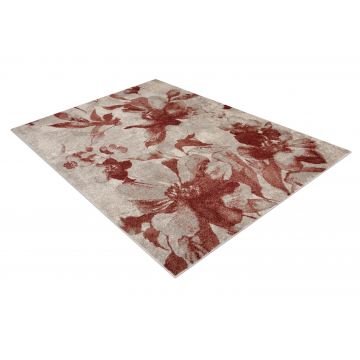 Dywan FUSION 8259 krem / bordo - Kwiaty, nowoczesny, abstrakcyjny