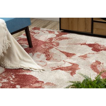 Dywan FUSION 8259 krem / bordo - Kwiaty, nowoczesny, abstrakcyjny