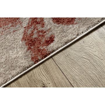 Dywan FUSION 8259 krem / bordo - Kwiaty, nowoczesny, abstrakcyjny