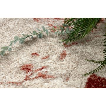 Dywan FUSION 8259 krem / bordo - Kwiaty, nowoczesny, abstrakcyjny