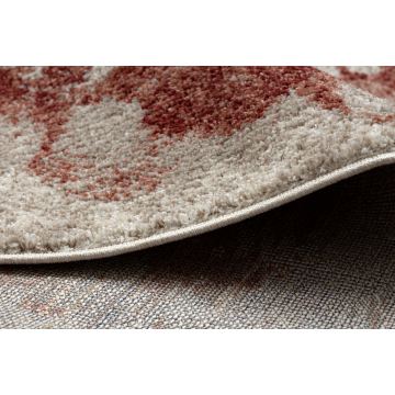 Dywan FUSION 8259 krem / bordo - Kwiaty, nowoczesny, abstrakcyjny