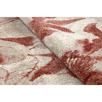 Dywan FUSION 8259 krem / bordo - Kwiaty, nowoczesny, abstrakcyjny