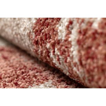 Dywan FUSION 8259 krem / bordo - Kwiaty, nowoczesny, abstrakcyjny
